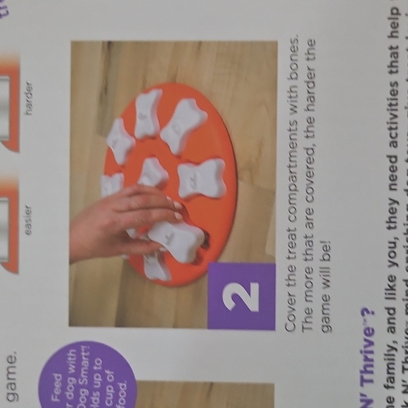 Outward Hound Dog Smart Orange and White Level 1 Puzzle NIB - Picture 5 of 7